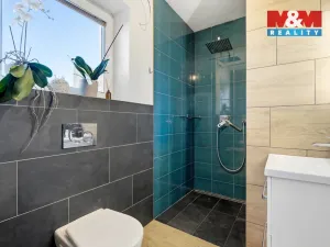 Prodej rodinného domu, Vědomice, Venkovská, 226 m2