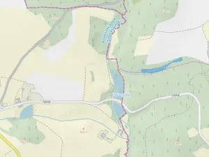 Prodej pozemku, Volfířov - Brandlín, 5958 m2