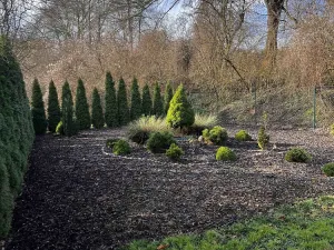 Prodej pozemku, Konárovice, 1206 m2