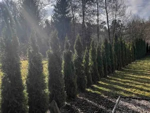 Prodej pozemku, Konárovice, 1206 m2