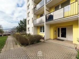 Prodej bytu 3+1, Velké Opatovice, Hliníky, 75 m2
