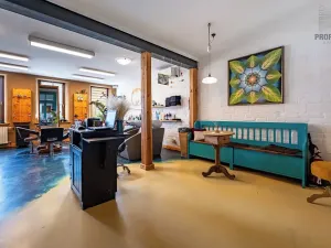 Prodej vícegeneračního domu, Brno, Otakara Ševčíka, 190 m2