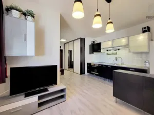 Prodej bytu 1+kk, Brno, Křenová, 32 m2