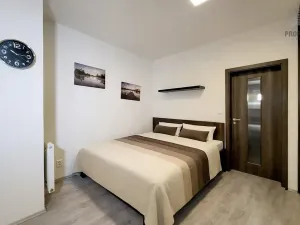 Prodej bytu 1+kk, Brno, Křenová, 32 m2