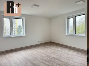 Prodej bytu 1+1, Ostrava, Opavská, 46 m2