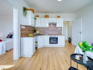 Pronájem bytu 1+1, Jirkov, Studentská, 35 m2