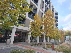 Pronájem bytu 3+kk, Praha - Žižkov, Olgy Havlové, 71 m2