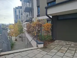 Pronájem bytu 3+kk, Praha - Žižkov, Olgy Havlové, 71 m2