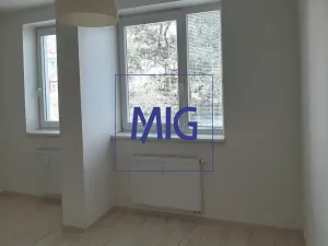 Pronájem bytu 1+kk, Brno, Kovařovicova, 23 m2