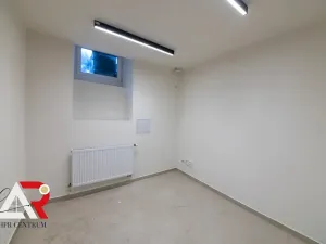 Prodej komerční nemovitosti, Brno, Jiráskova, 233 m2