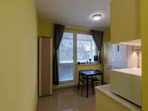 Prodej bytu 2+1, Brno, Foerstrova, 54 m2