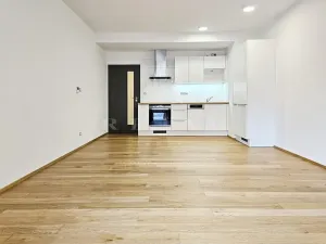 Pronájem bytu 1+kk, Brno, Kleštínek, 39 m2