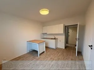 Pronájem bytu 1+1, Ústí nad Labem, Železná, 35 m2