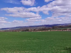 Prodej rodinného domu, Libice nad Doubravou, 83 m2