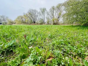 Prodej pozemku pro bydlení, Dlouhá Lhota, 3560 m2