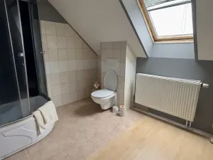 Prodej bytu 4+1, Březová, Odborářů, 122 m2