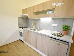 Pronájem bytu 3+1, Brno, Jílová, 55 m2