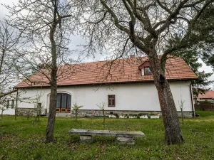 Prodej rodinného domu, Lety, 550 m2