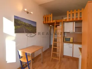 Pronájem bytu 1+kk, České Budějovice, Šumavská, 21 m2