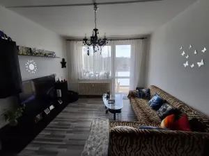 Prodej bytu 3+1, Cheb, Do Zátiší, 59 m2