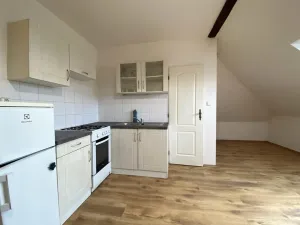 Pronájem bytu 1+kk, Brno - Černovice, Řehořova, 31 m2