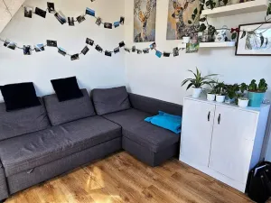 Pronájem bytu 2+kk, Brno - Černovice, Řehořova, 26 m2