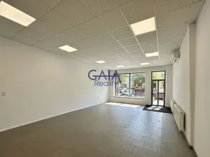 Pronájem obchodního prostoru, Kyjov, třída Komenského, 66 m2