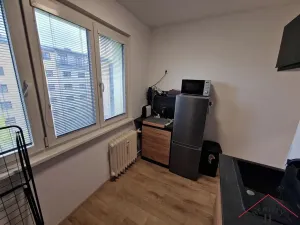 Pronájem bytu 2+1, Praha - Žižkov, K lučinám, 51 m2