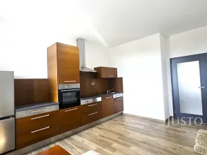 Pronájem bytu 1+kk, Písek, Vladislavova, 40 m2
