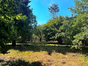 Prodej pozemku pro bydlení, Šenov u Nového Jičína, 2476 m2