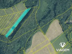 Prodej podílu pole, Životice u Nového Jičína, 1872 m2