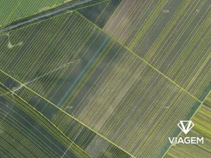 Prodej podílu pole, Moravská Nová Ves, 552 m2