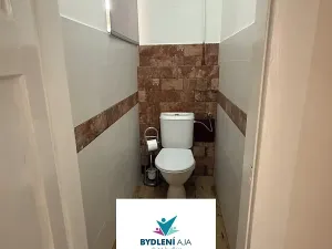 Prodej bytu 1+1, Teplice, Fügnerova, 43 m2