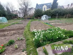 Pronájem bytu 3+1, Turnov, Rokycanova, 82 m2