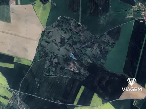 Prodej lesa, Račice, 5005 m2