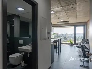 Pronájem bytu 1+kk, Brno, Královopolská, 42 m2