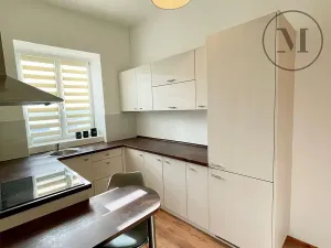 Pronájem bytu 1+1, České Budějovice, 30 m2