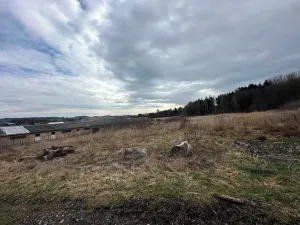 Prodej výrobních prostor, Jedlová, 1346 m2