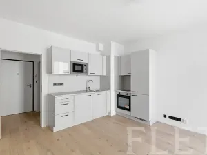 Pronájem bytu 1+kk, Praha - Vršovice, Krymská, 23 m2