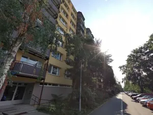 Prodej bytu 3+1, Brno, Arbesova, 76 m2