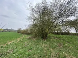 Prodej pozemku, Štětí - Brocno, 273 m2