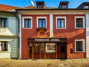 Prodej ubytování, Český Krumlov, Rooseveltova, 391 m2