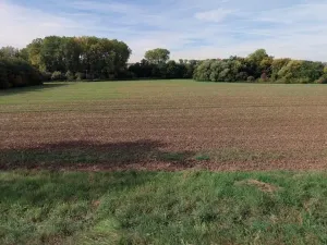 Prodej pole, Vinaře, 5793 m2