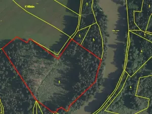 Prodej lesa, Nová Olešná, 22371 m2