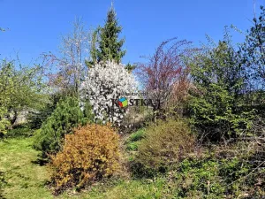 Prodej chaty, Studénka, Malá strana, 50 m2