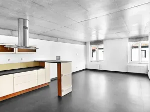 Prodej bytu 2+kk, České Budějovice, Rudolfovská tř., 98 m2