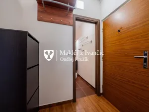 Prodej bytu 1+1, Ivančice, Luční, 36 m2