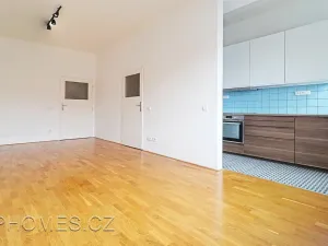 Pronájem bytu 2+kk, Praha - Nusle, U čtyř domů, 62 m2