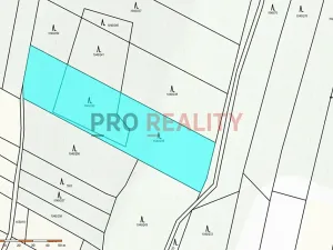 Prodej lesa, Tísek, 4998 m2