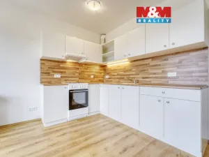 Pronájem bytu 1+kk, Plasy, U Václava, 42 m2